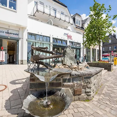 Apartment Spacious, Modern Apartment, Ten Minutes Walk From The Centre Winterberg